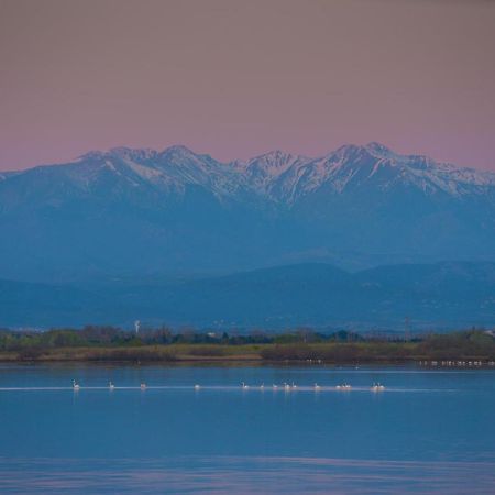 "Chill" Magnifique Vue Sur La Mer Et Le Port Au Coeur De La Ville En Premiere Ligne Canet-en-Roussillon Εξωτερικό φωτογραφία