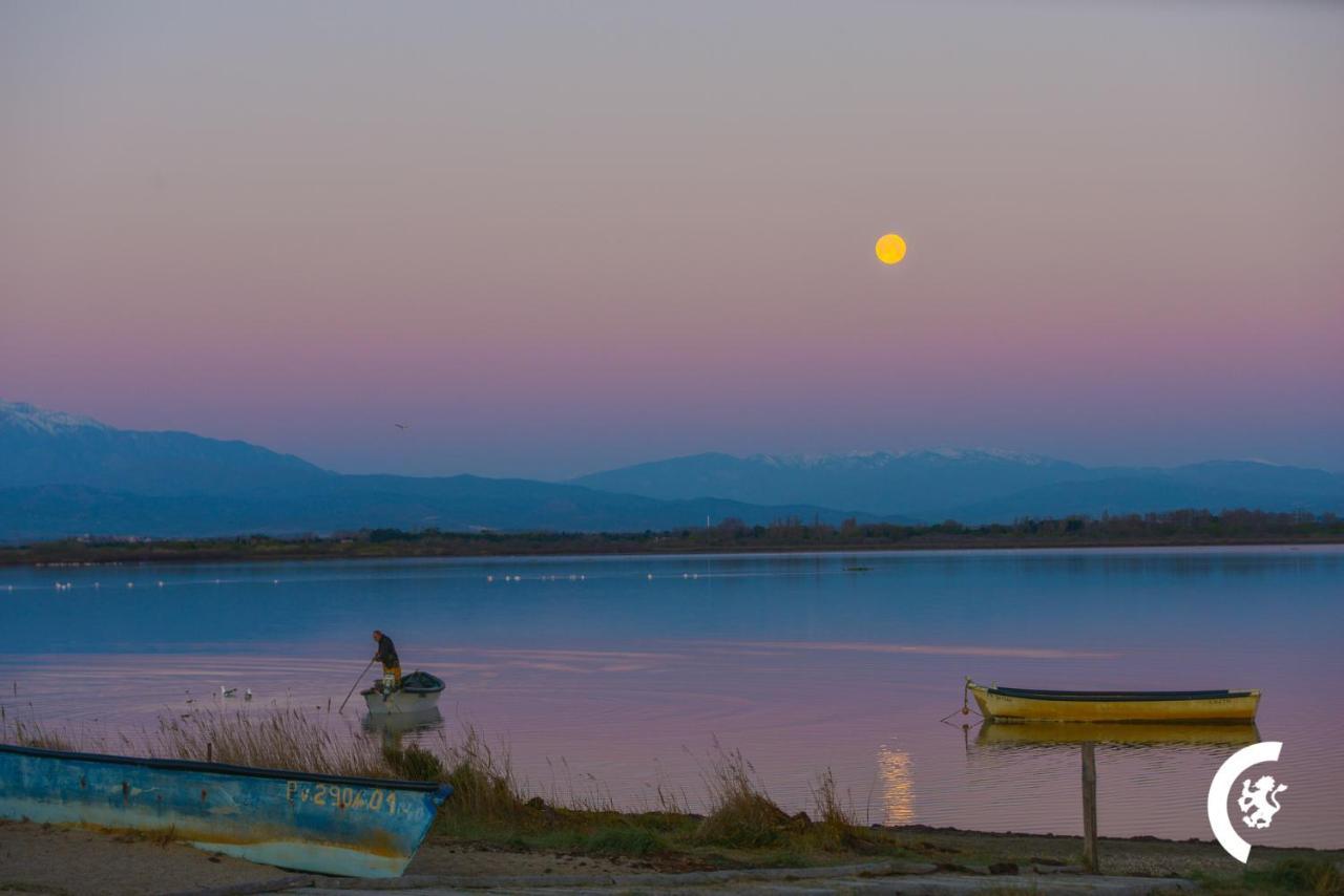 "Chill" Magnifique Vue Sur La Mer Et Le Port Au Coeur De La Ville En Premiere Ligne Canet-en-Roussillon Εξωτερικό φωτογραφία